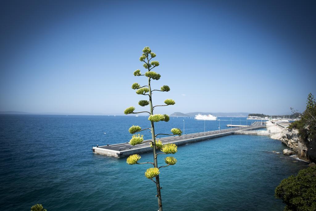 Dragica Apartmán Split